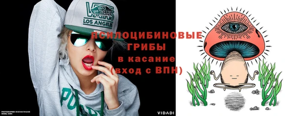 apvp Горняк
