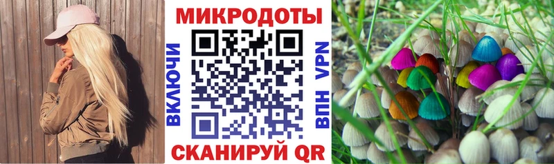 Псилоцибиновые грибы прущие грибы  где купить   Астрахань 
