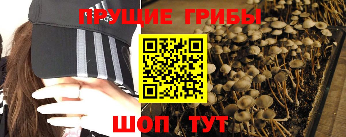 Астрахань  Галлюциногенные грибы ЛСД  Вход с VPN  Псилоцибиновые грибы ЛСД 