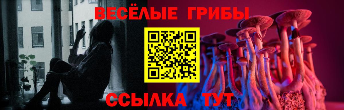 Галлюциногенные грибы Cubensis Астрахань