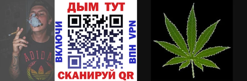 Каннабис семена  Астрахань 